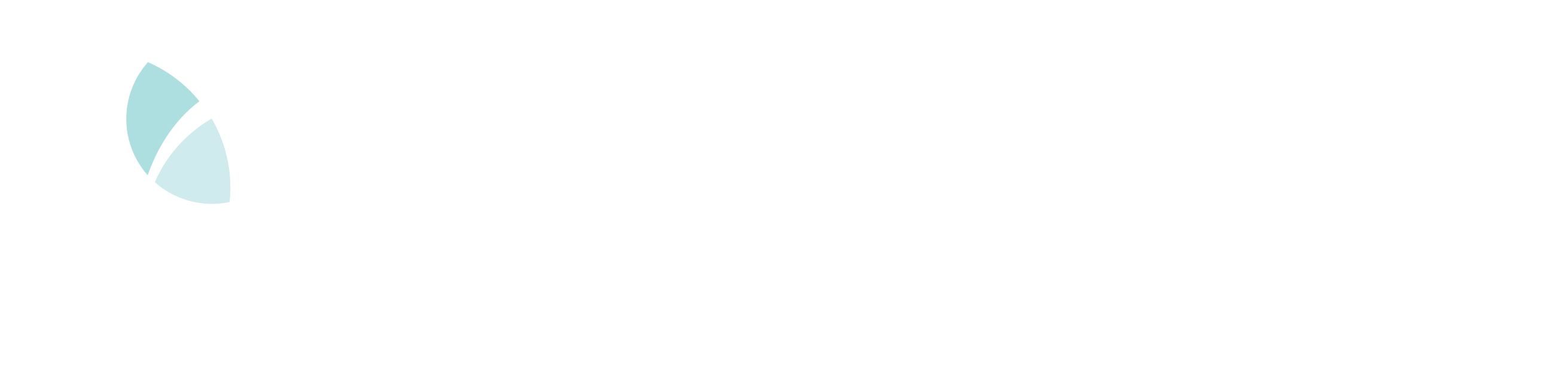 Logo for CVSuite.